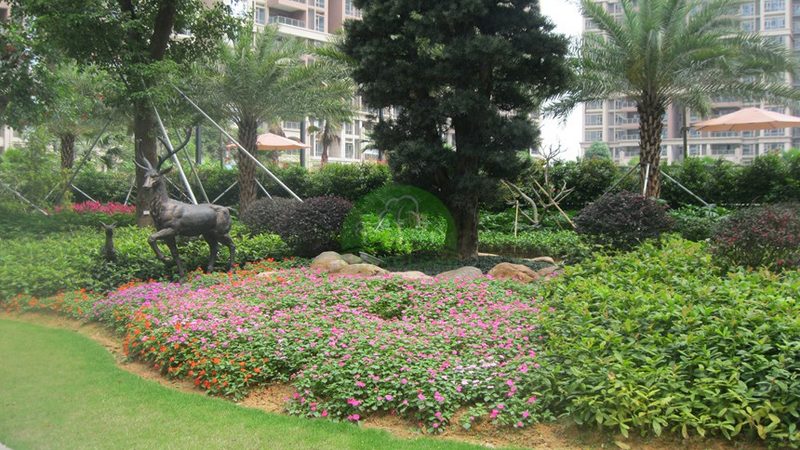 别墅花园设计：如何避免掉入设计陷阱**