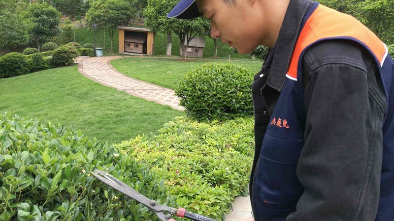 屋顶花园定制：打造办公楼绿意的秘密**