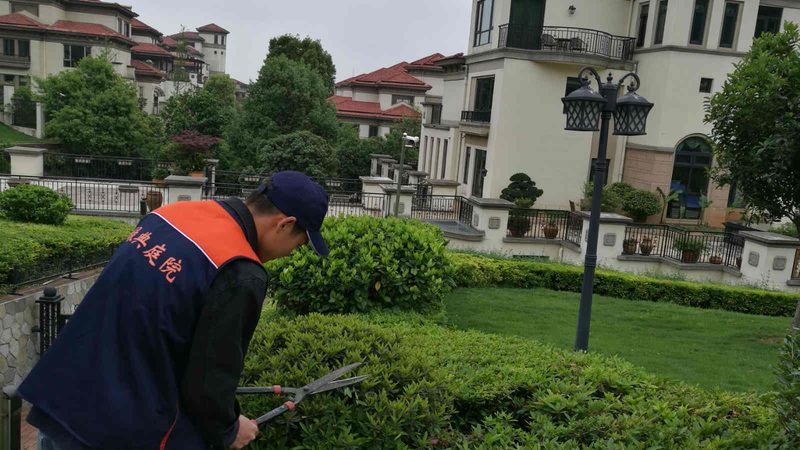 绿化资质代办：揭秘价格背后的考量因素