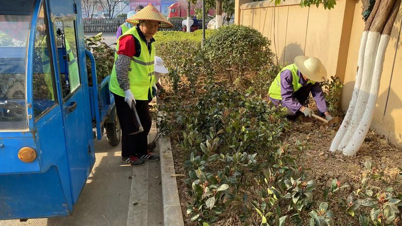 成都草坪修剪高度规范解析