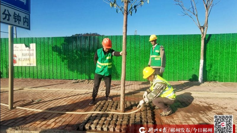 成都园林景观材料：品质与创新的交汇点