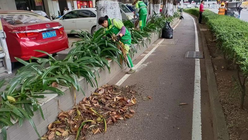 别墅草坪铺设：自己动手的实用步骤解析**