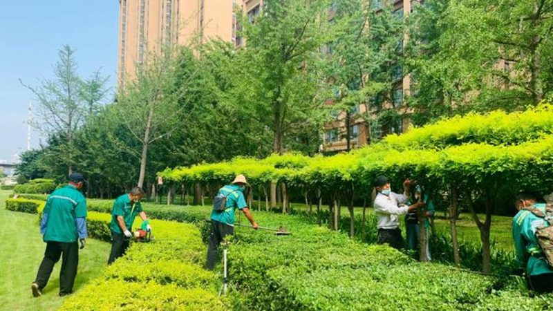 成都市政绿化施工资质办理，这些标准你必须知道**